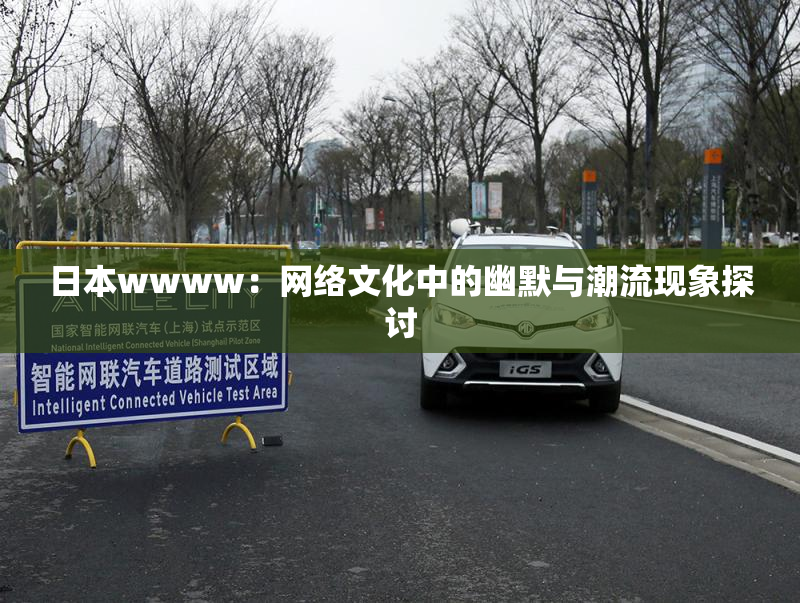 日本wwww：网络文化中的幽默与潮流现象探讨