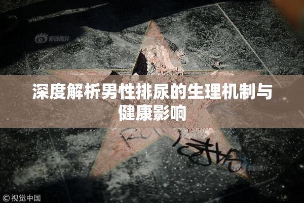 深度解析男性排尿的生理机制与健康影响