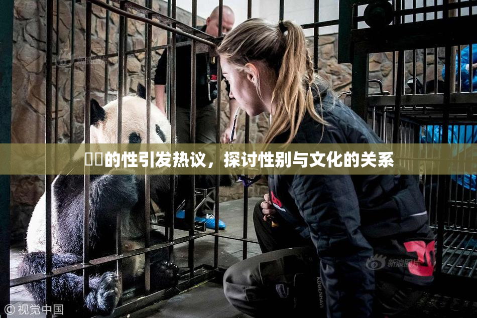 妺妺的性引发热议，探讨性别与文化的关系