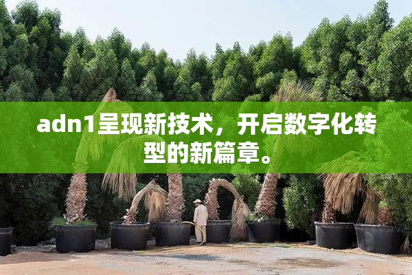 adn1呈现新技术，开启数字化转型的新篇章。