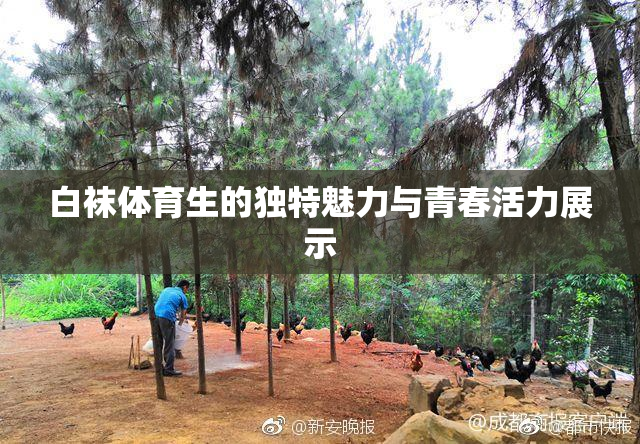 白袜体育生的独特魅力与青春活力展示