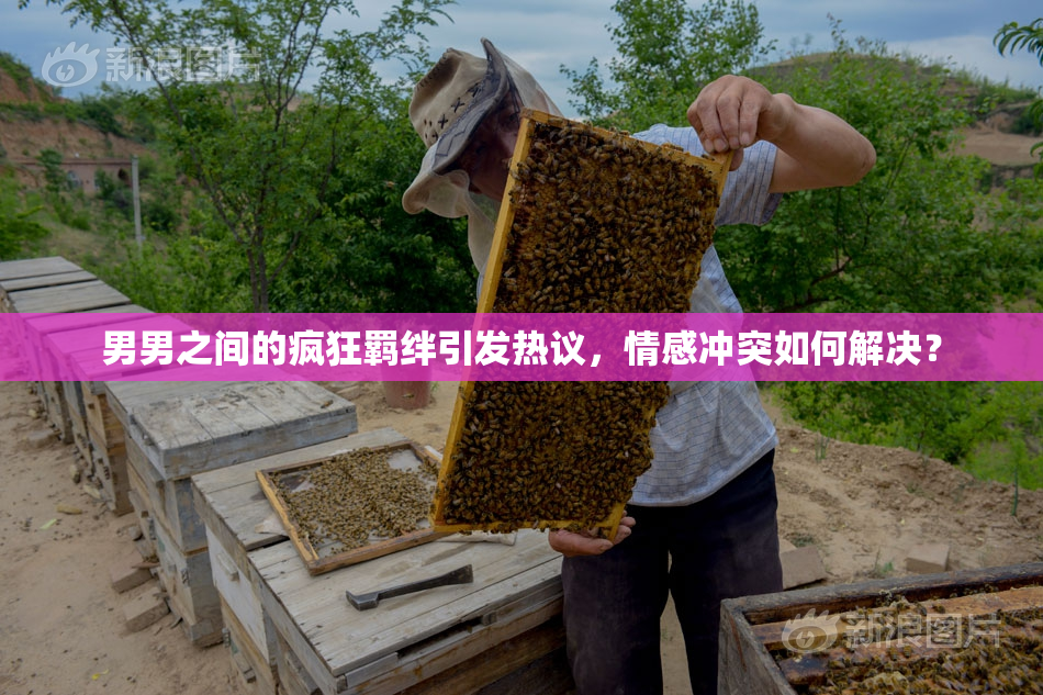 男男之间的疯狂羁绊引发热议，情感冲突如何解决？
