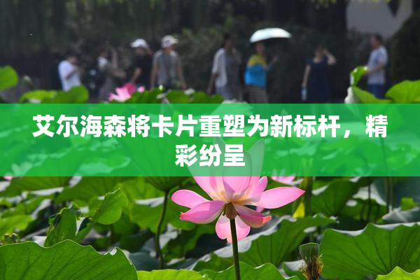 艾尔海森将卡片重塑为新标杆，精彩纷呈