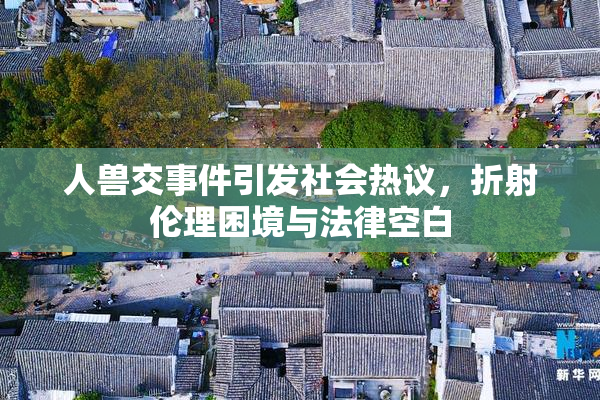 人兽交事件引发社会热议，折射伦理困境与法律空白