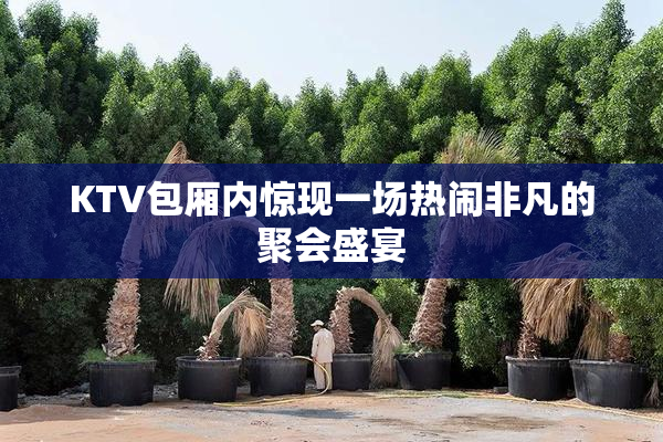 KTV包厢内惊现一场热闹非凡的聚会盛宴