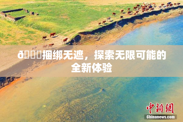 🔞捆绑无遮，探索无限可能的全新体验