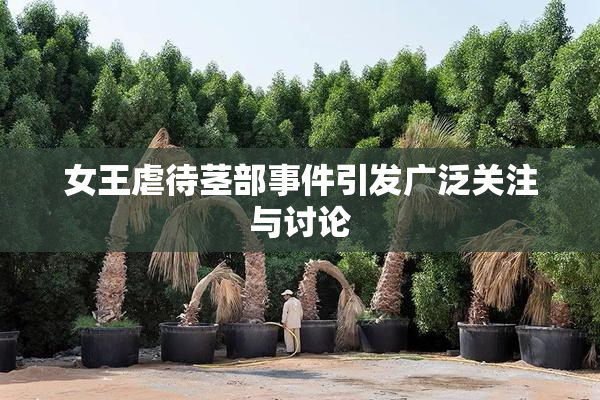 女王虐待茎部事件引发广泛关注与讨论