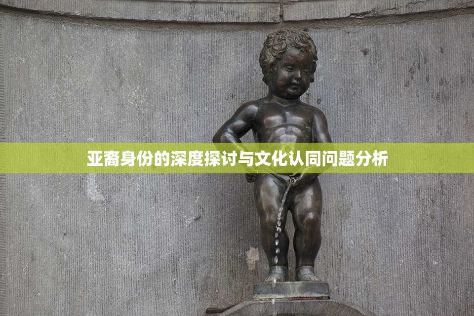 亚裔身份的深度探讨与文化认同问题分析