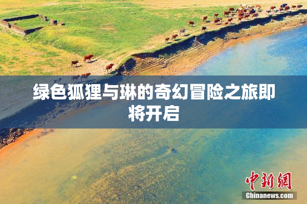 绿色狐狸与琳的奇幻冒险之旅即将开启