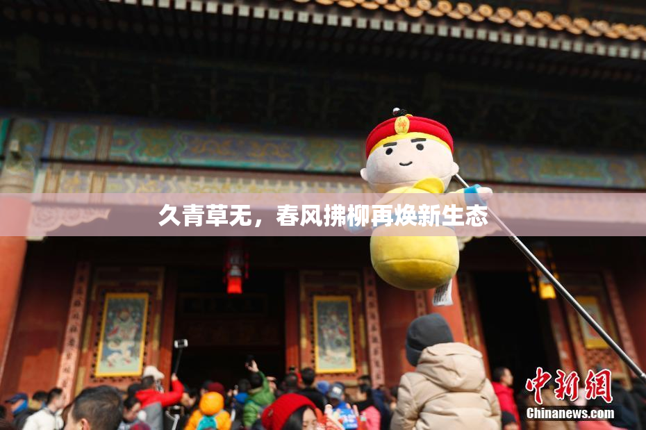 久青草无，春风拂柳再焕新生态