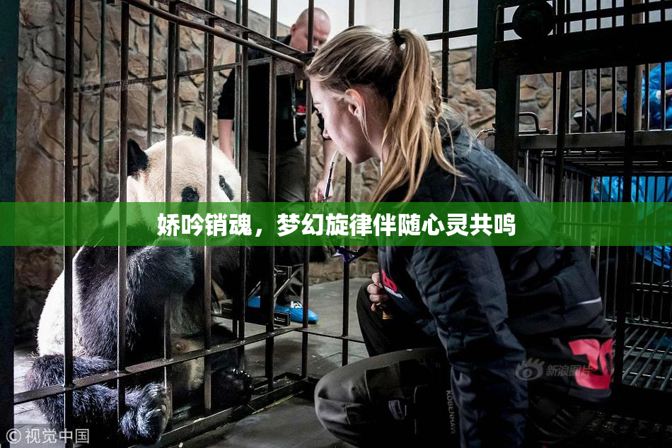 娇吟销魂，梦幻旋律伴随心灵共鸣