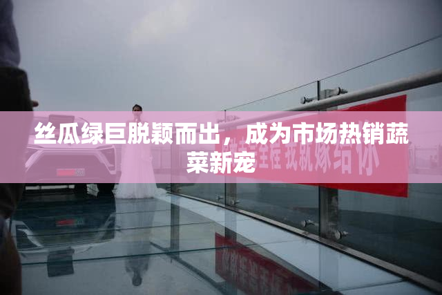 丝瓜绿巨脱颖而出，成为市场热销蔬菜新宠