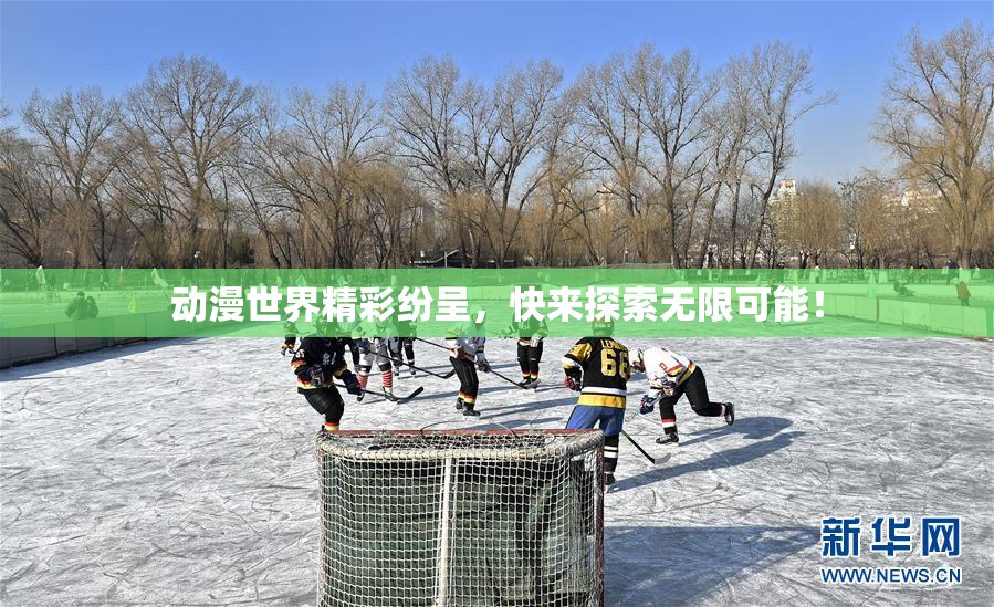 动漫世界精彩纷呈，快来探索无限可能！