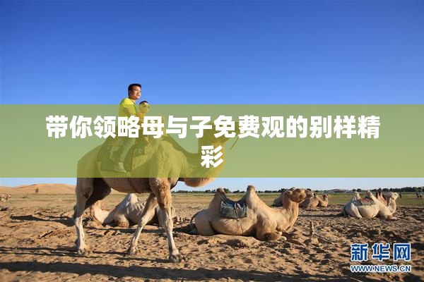 带你领略母与子免费观的别样精彩