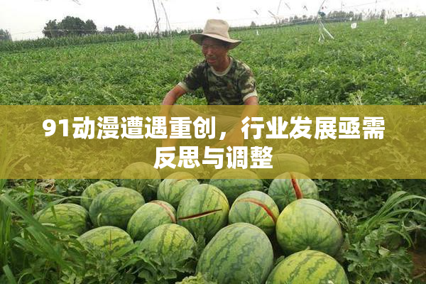 91动漫遭遇重创，行业发展亟需反思与调整