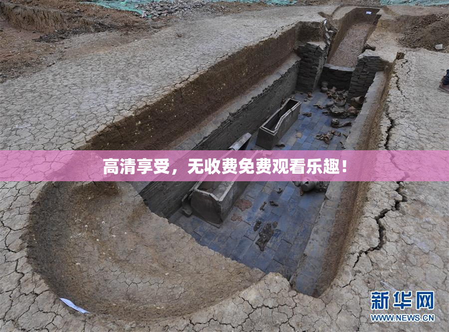 高清享受，无收费免费观看乐趣！