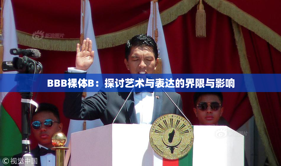 BBB裸体B：探讨艺术与表达的界限与影响
