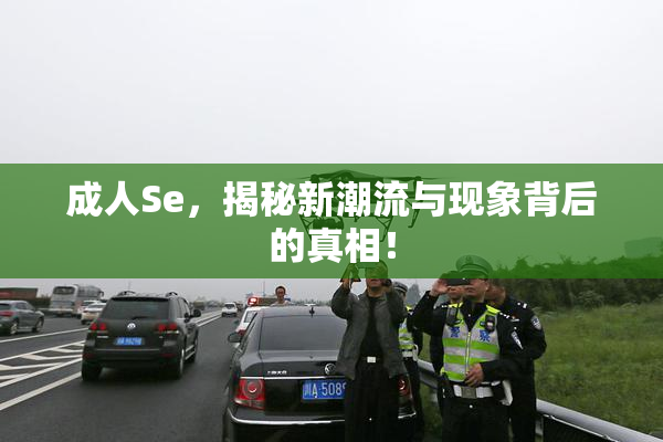 成人Se，揭秘新潮流与现象背后的真相！