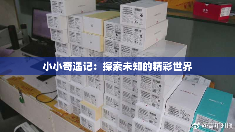 小小奇遇记：探索未知的精彩世界