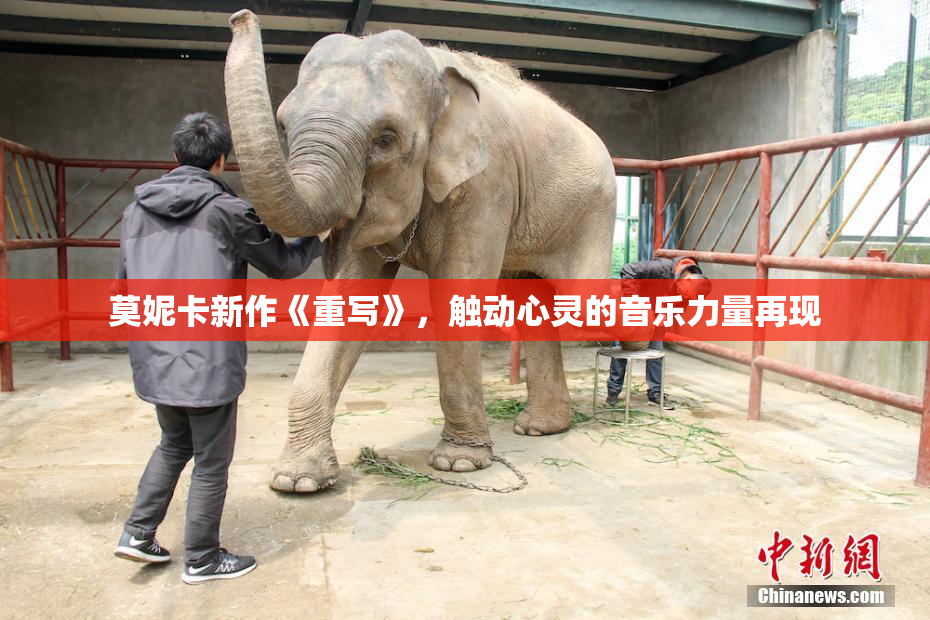 莫妮卡新作《重写》，触动心灵的音乐力量再现