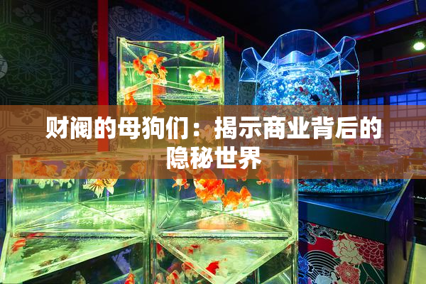 财阀的母狗们：揭示商业背后的隐秘世界