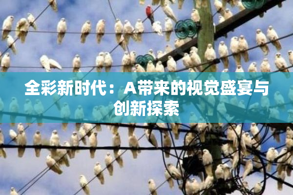 全彩新时代：A带来的视觉盛宴与创新探索