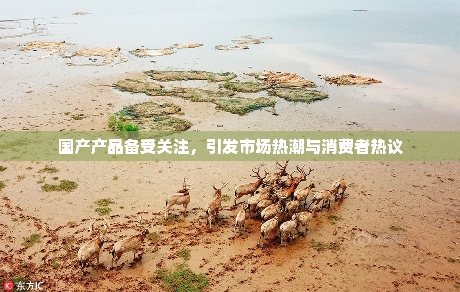 国产产品备受关注，引发市场热潮与消费者热议
