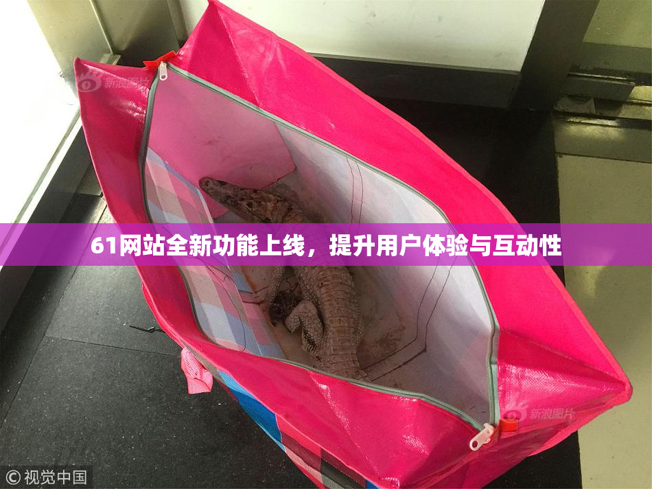 61网站全新功能上线，提升用户体验与互动性