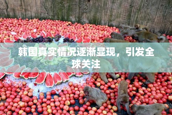 韩国真实情况逐渐显现，引发全球关注