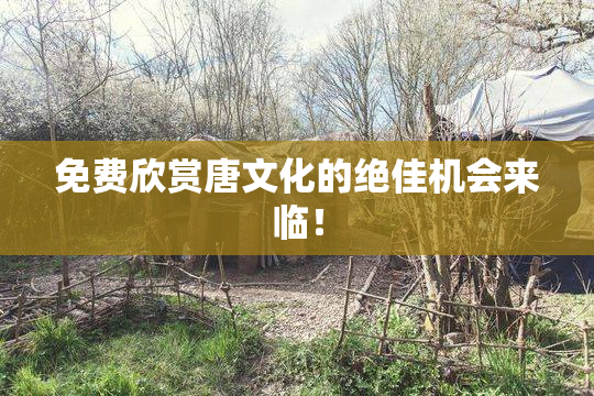 免费欣赏唐文化的绝佳机会来临！