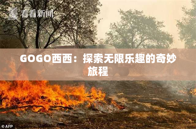 GOGO西西：探索无限乐趣的奇妙旅程