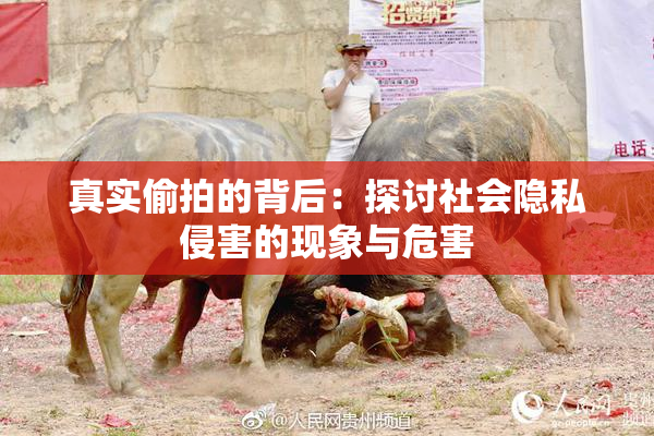 真实偷拍的背后：探讨社会隐私侵害的现象与危害