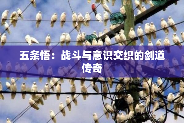 五条悟：战斗与意识交织的剑道传奇