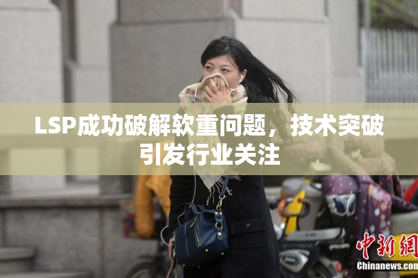 LSP成功破解软重问题，技术突破引发行业关注