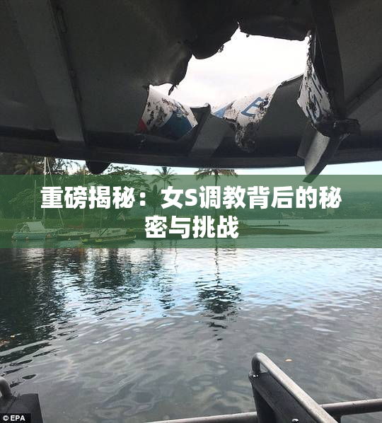 重磅揭秘：女S调教背后的秘密与挑战