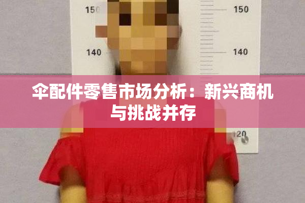 伞配件零售市场分析：新兴商机与挑战并存