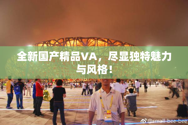 全新国产精品VA，尽显独特魅力与风格！