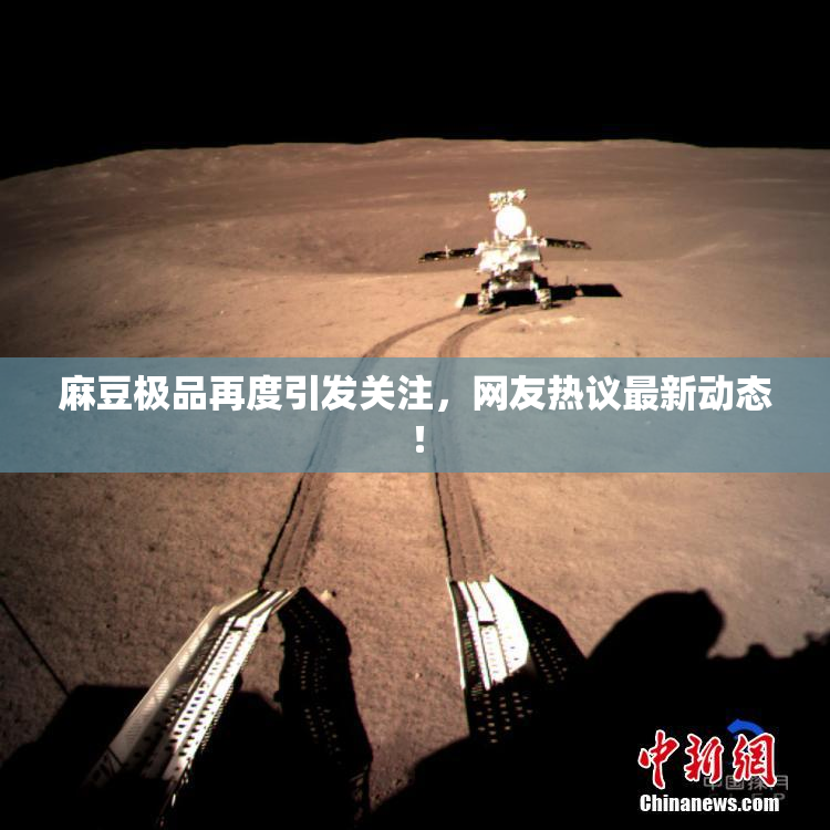 麻豆极品再度引发关注，网友热议最新动态！