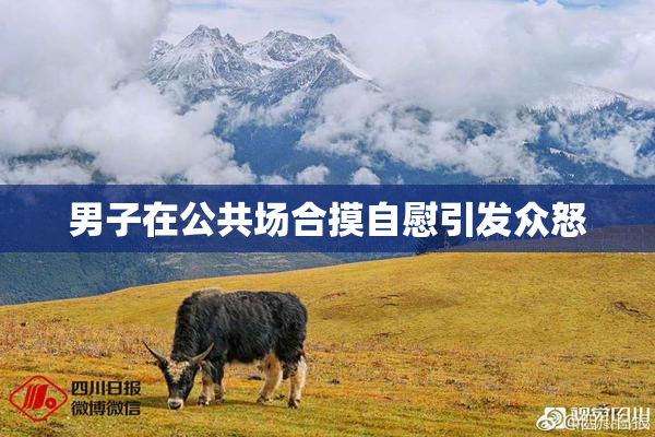 男子在公共场合摸自慰引发众怒
