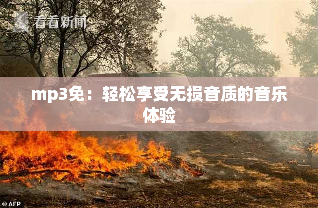 mp3免：轻松享受无损音质的音乐体验