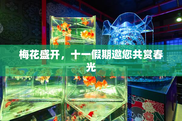梅花盛开，十一假期邀您共赏春光