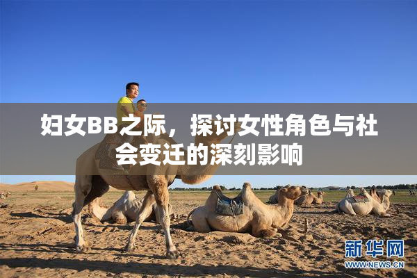 妇女BB之际，探讨女性角色与社会变迁的深刻影响
