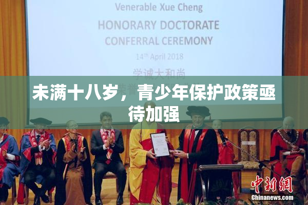 未满十八岁，青少年保护政策亟待加强