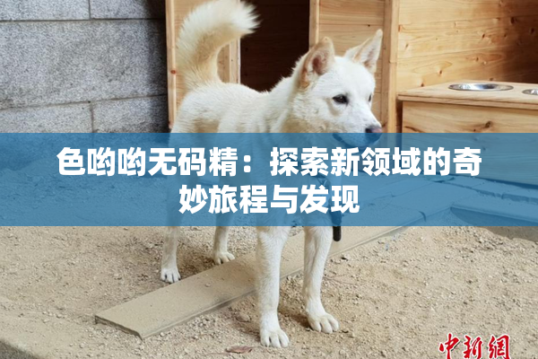 色哟哟无码精：探索新领域的奇妙旅程与发现