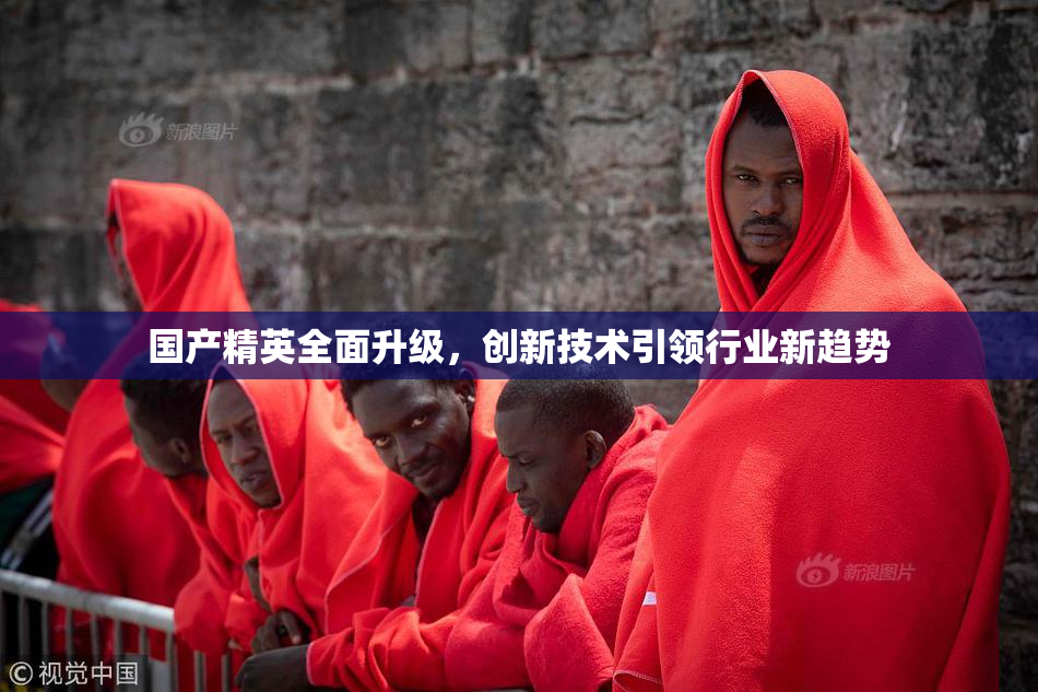 国产精英全面升级，创新技术引领行业新趋势