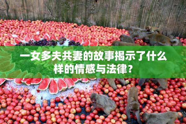 一女多夫共妻的故事揭示了什么样的情感与法律？