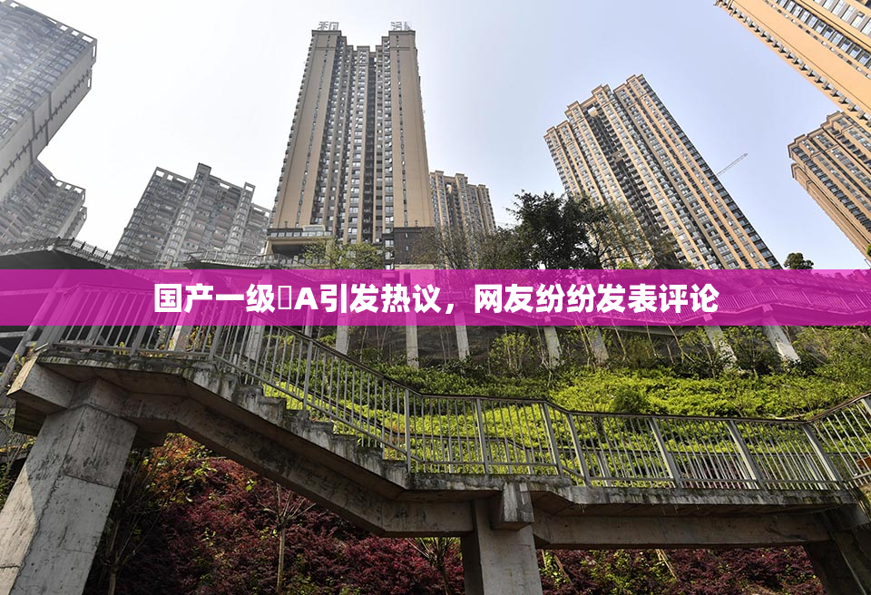 国产一级婬A引发热议，网友纷纷发表评论
