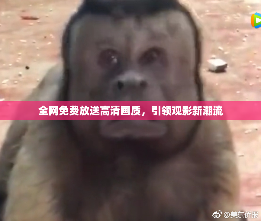全网免费放送高清画质，引领观影新潮流