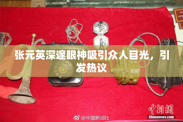 张元英深邃眼神吸引众人目光，引发热议