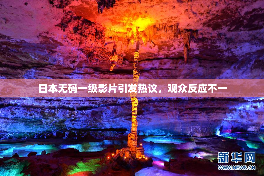 日本无码一级影片引发热议，观众反应不一